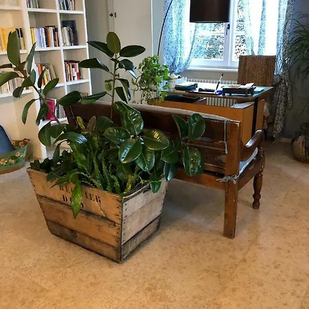 ベッド・アンド・ブレックファスト La Casa Di Gabri イゼーオ