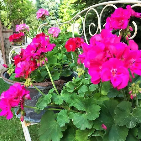 La Casa Di Gabri Bed & Breakfast Iseo