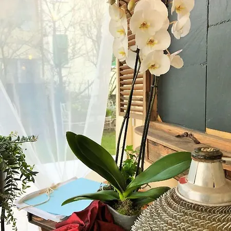 לינה וארוחת בוקר La Casa Di Gabri